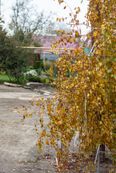 Similar image 22618408