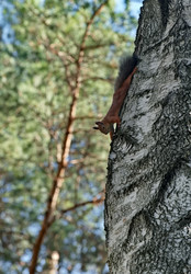 Similar image 22599400