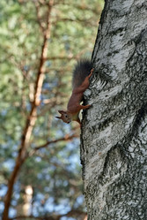 Similar image 22599401