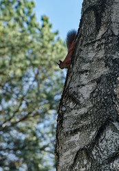 Similar image 22599402