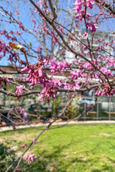 Similar image 22633605