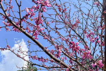 Similar image 22633717