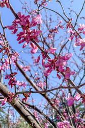 Similar image 22633718