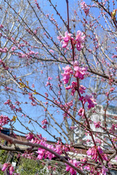 Similar image 22633719