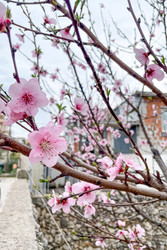 Similar image 22633720