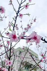 Similar image 22633721