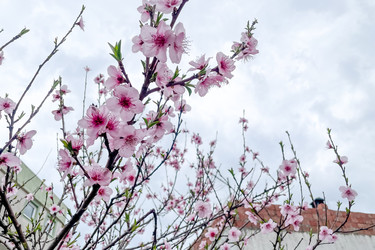 Similar image 22633722