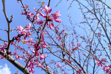 Similar image 22633723