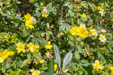 Similar image 22633724