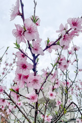 Similar image 22633835