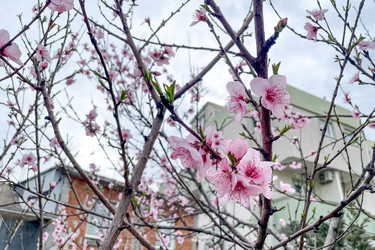 Similar image 22633836