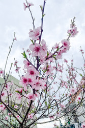 Similar image 22633837