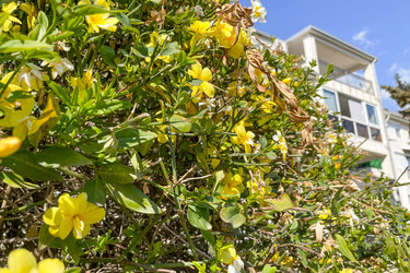 Similar image 22633838