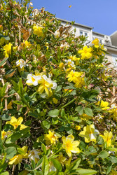 Similar image 22633839