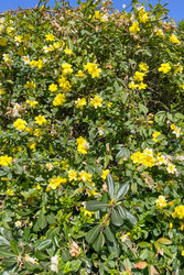 Similar image 22633840