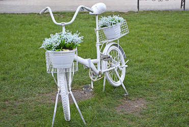 Similar image 22596907