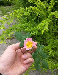 Similar image 22596910