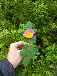 Similar image 22596919