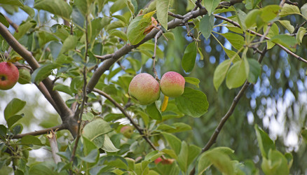 Similar image 22594942