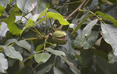 Similar image 22594943