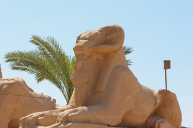 Similar image 22597054