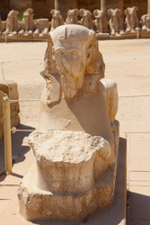 Similar image 22600167