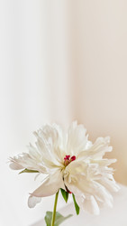 Similar image 22608711