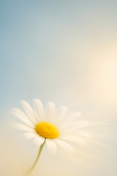 Similar image 22608730