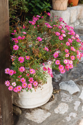 Similar image 22620893