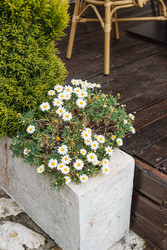 Similar image 22620922