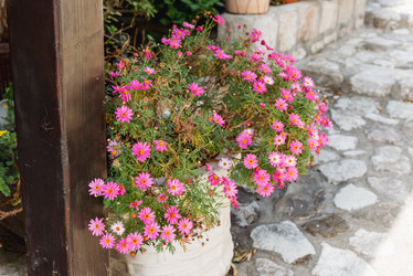 Similar image 22620936