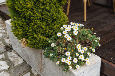 Similar image 22620951