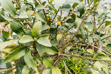 Similar image 22620996