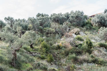 Similar image 22631611