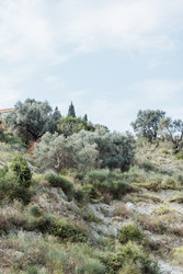 Similar image 22631626