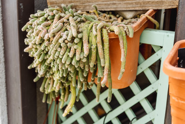 Similar image 22633841