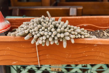 Similar image 22633842