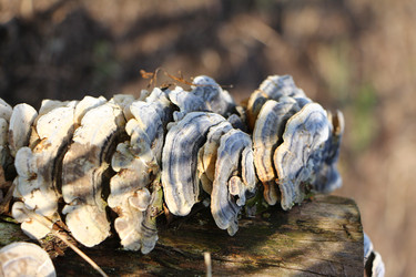 Similar image 22597042