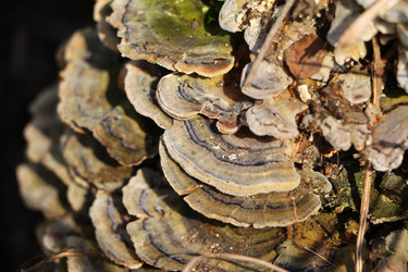 Similar image 22597043