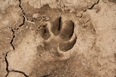 Similar image 22597044