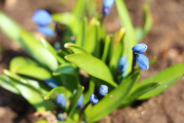 Similar image 22597055