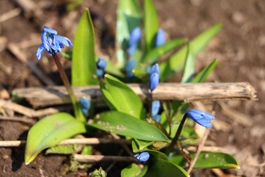 Similar image 22597056