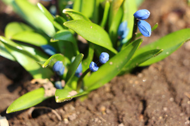 Similar image 22597057