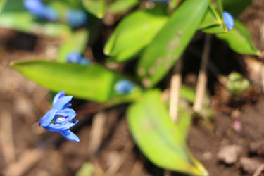 Similar image 22597059