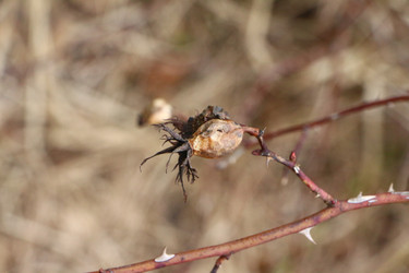 Similar image 22597060