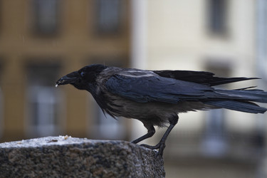 Similar image 22631673