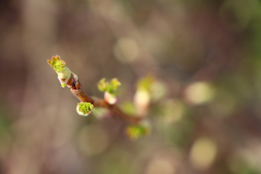 Similar image 22600197