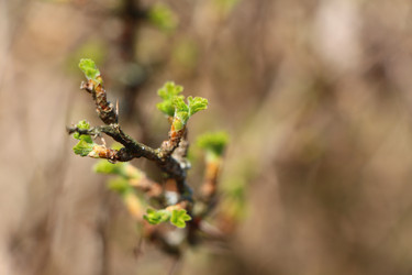 Similar image 22597032