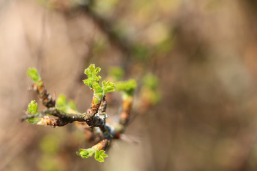 Similar image 22597045