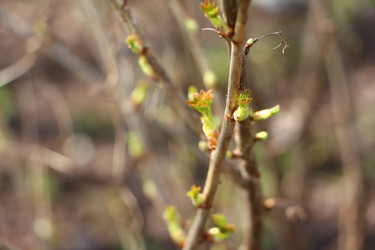 Similar image 22597046